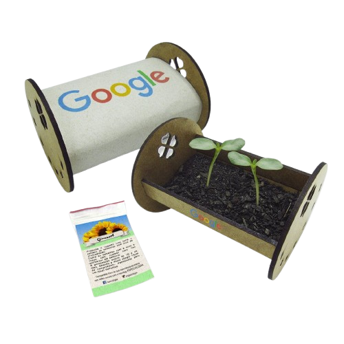 Kit Jardineira Flower