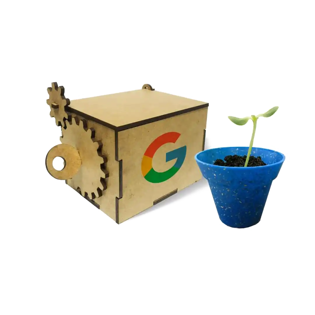 Caixa Kit Cultivo MDF