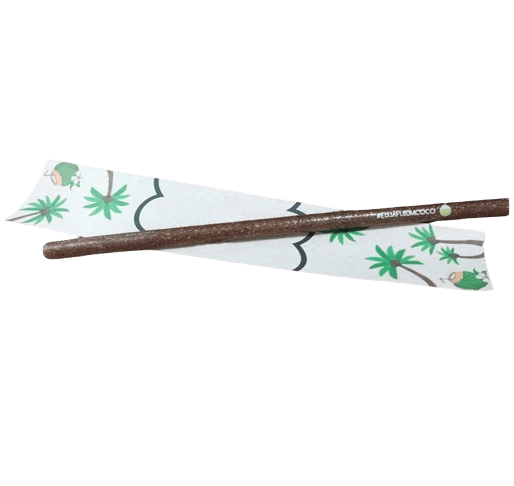 Canudo Bloom Coco Reuse