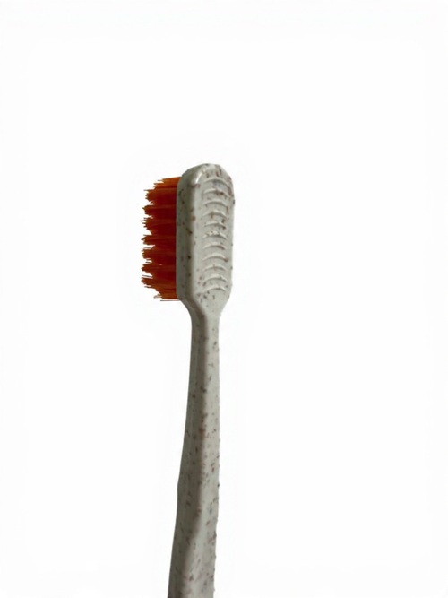 Conjunto 3 Escovas Ecológicas