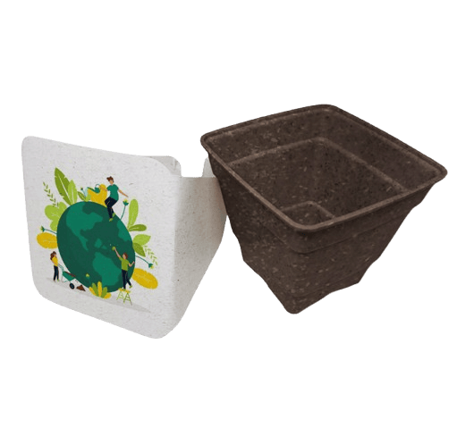 Conjunto All Breeze Earth
