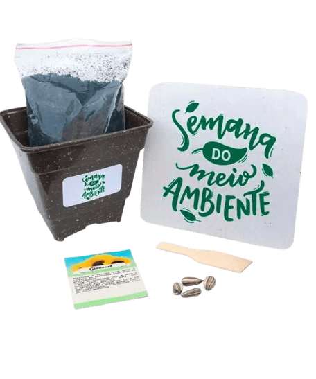 Conjunto All Breeze Earth