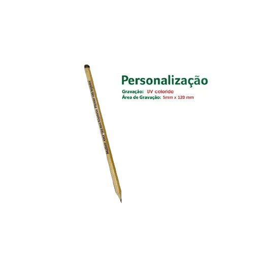 Dois Lápis Monarch Semente Gift