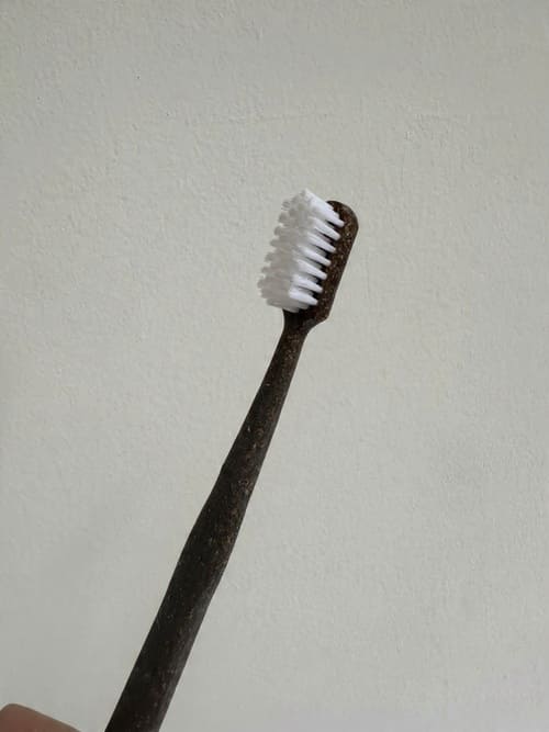 Escova de Dentes de Fibra de Coco