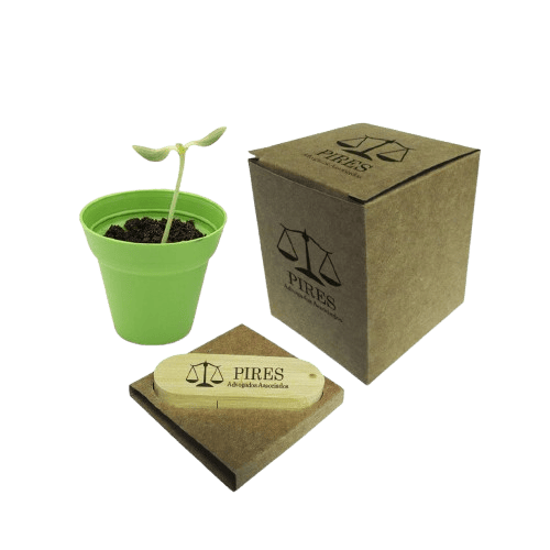 Kit Plantare Executivo