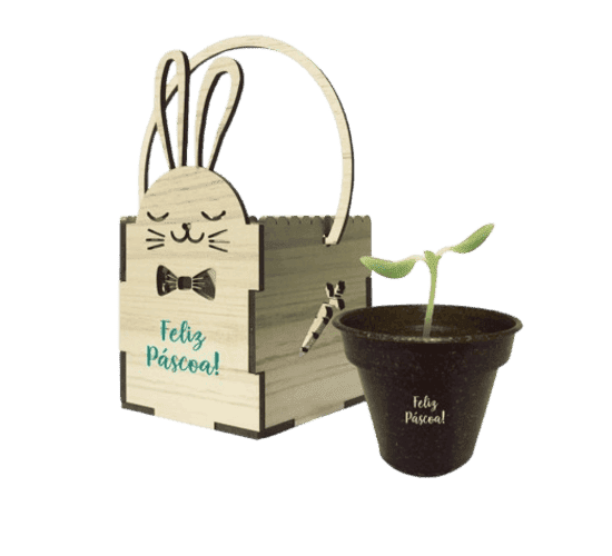 Páscoa Eco Plantio