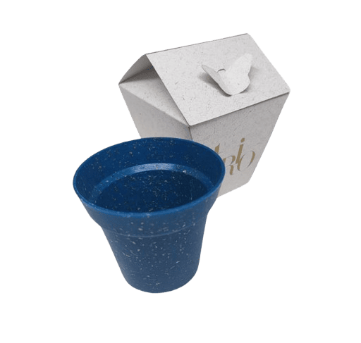Kit Arbor Gift 178