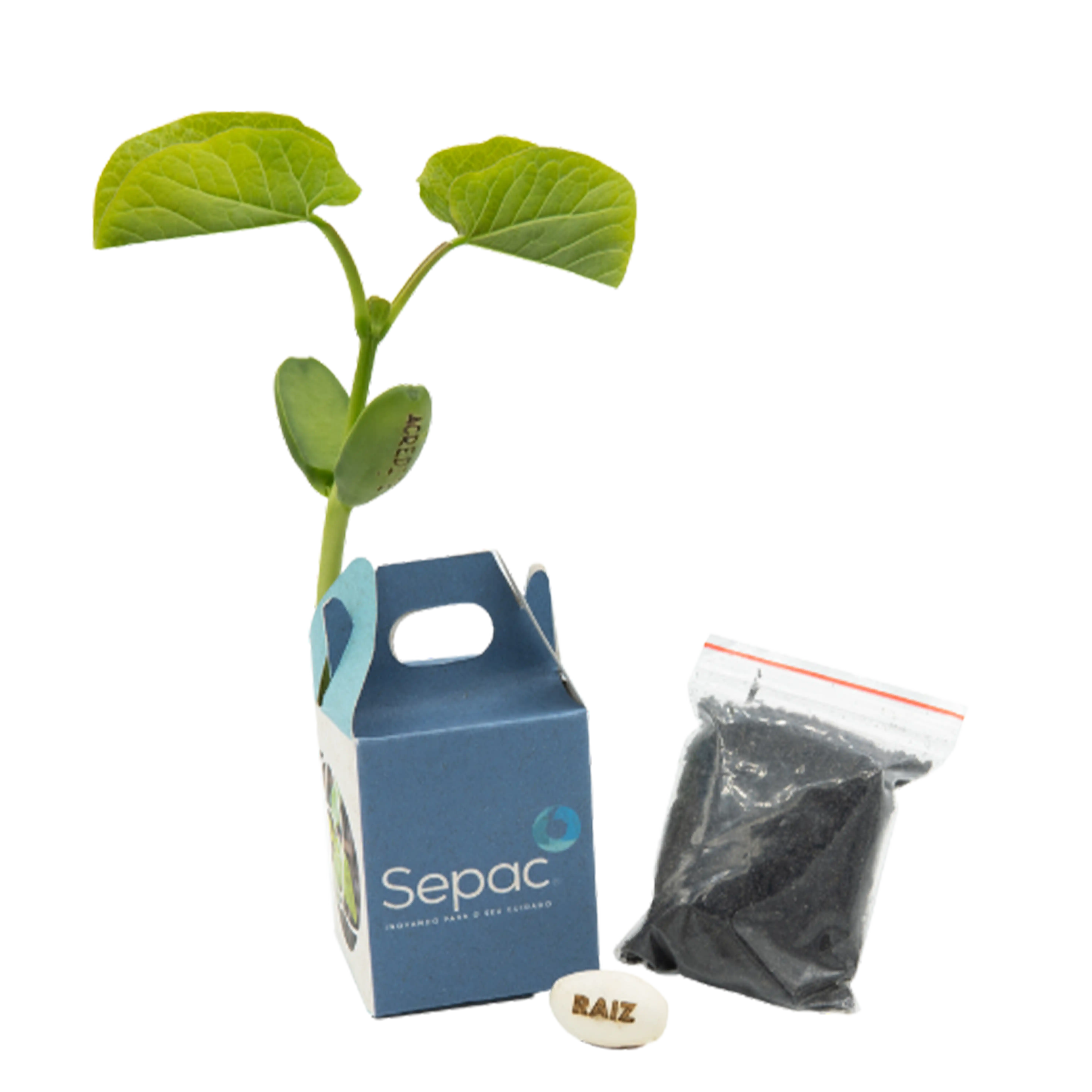 Kit Com Semente Mágica