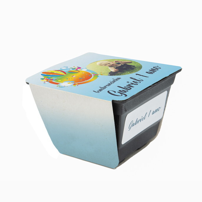 Kit ecológico vaso fibra de coco