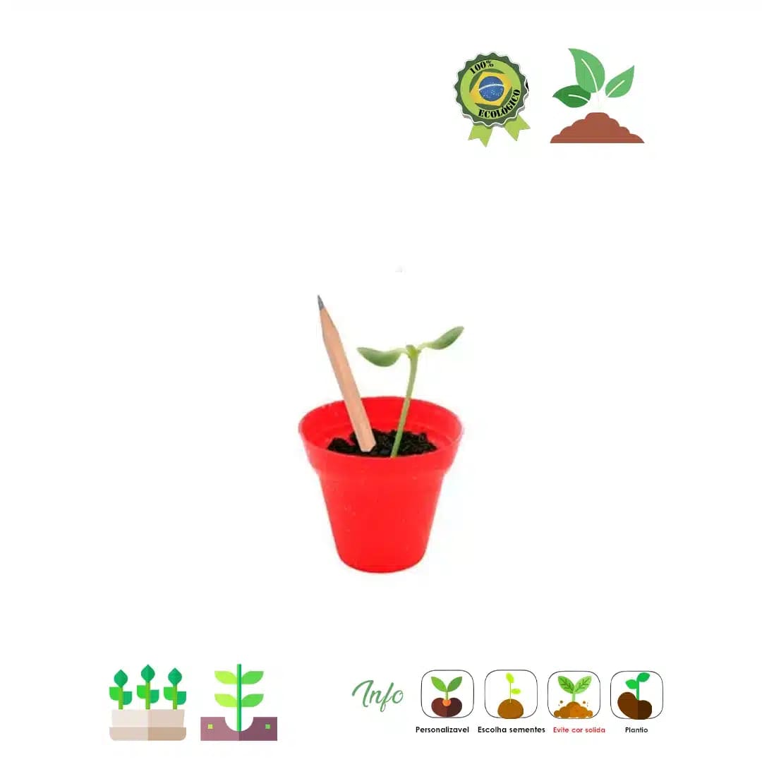 Kit Lápis, Vaso e Terra Jungle Way