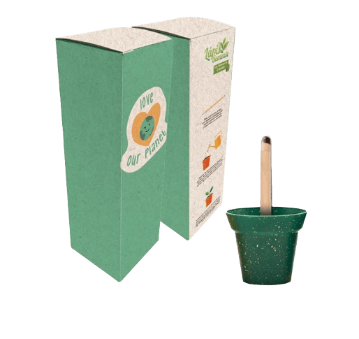 Kit Lápis, Vaso e Terra Jungle Way