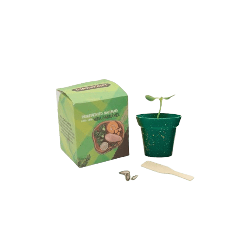 Kit Zest para Plantar