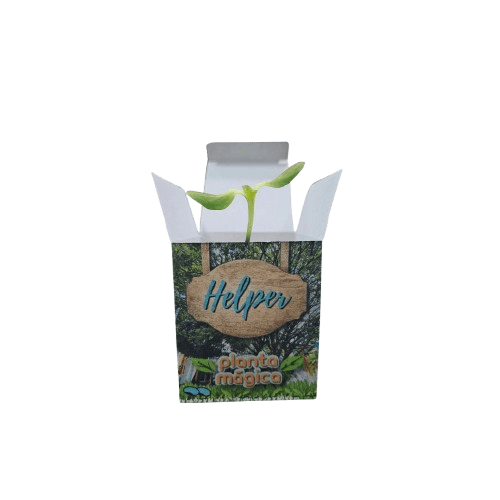 Kit Zest para Plantar