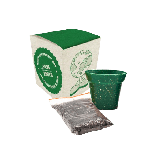 Kit Zest para Plantar
