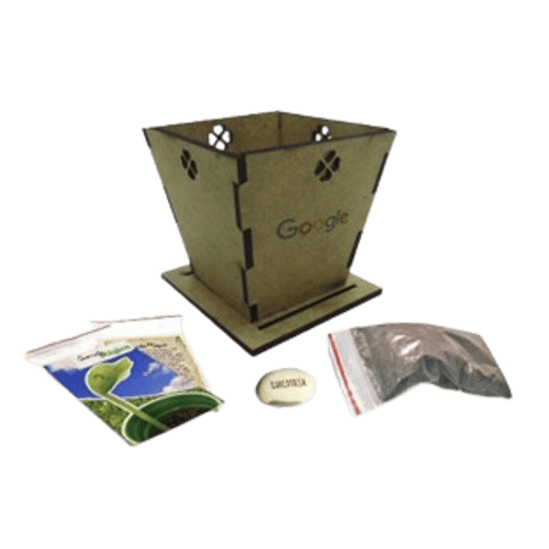 Kit Semente Mágica Eco Mdf