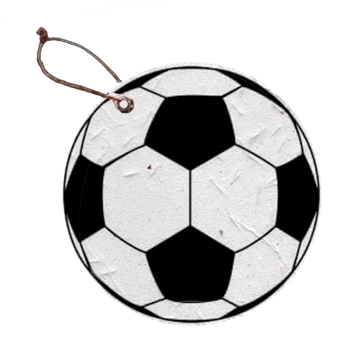 Papel Semente Copa Bola