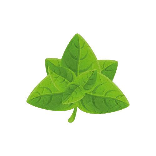 Papel semente formato manjericão