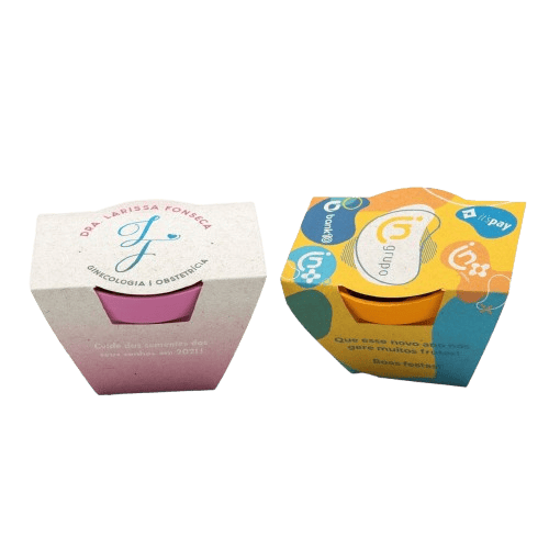 Kit Plantio Mágico Fiesta