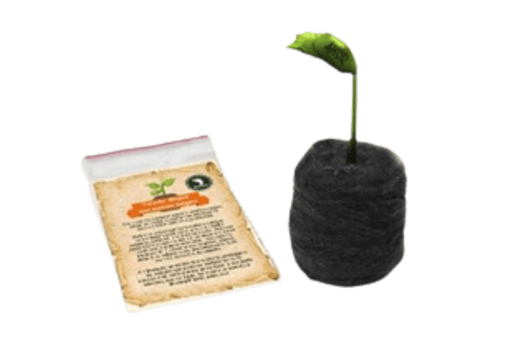 Kit Plantare Vaso e Semente Mágica