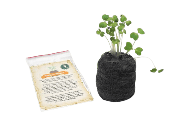 Kit Plantare Vasinho Mágico