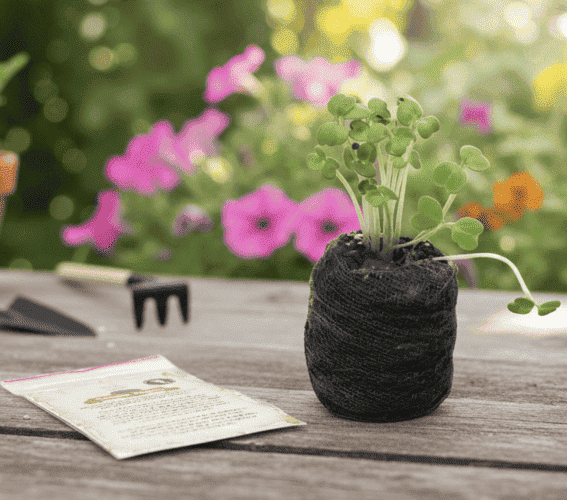 Kit Plantare Vasinho Mágico