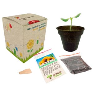 Case Brindes Ecológicos 6